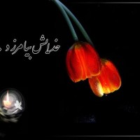 پیام تسلیت انجمن نجات کرمانشاه به خانواده محمد آق اتابای