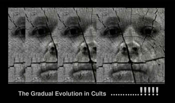 The Gradual Evolution in Cults